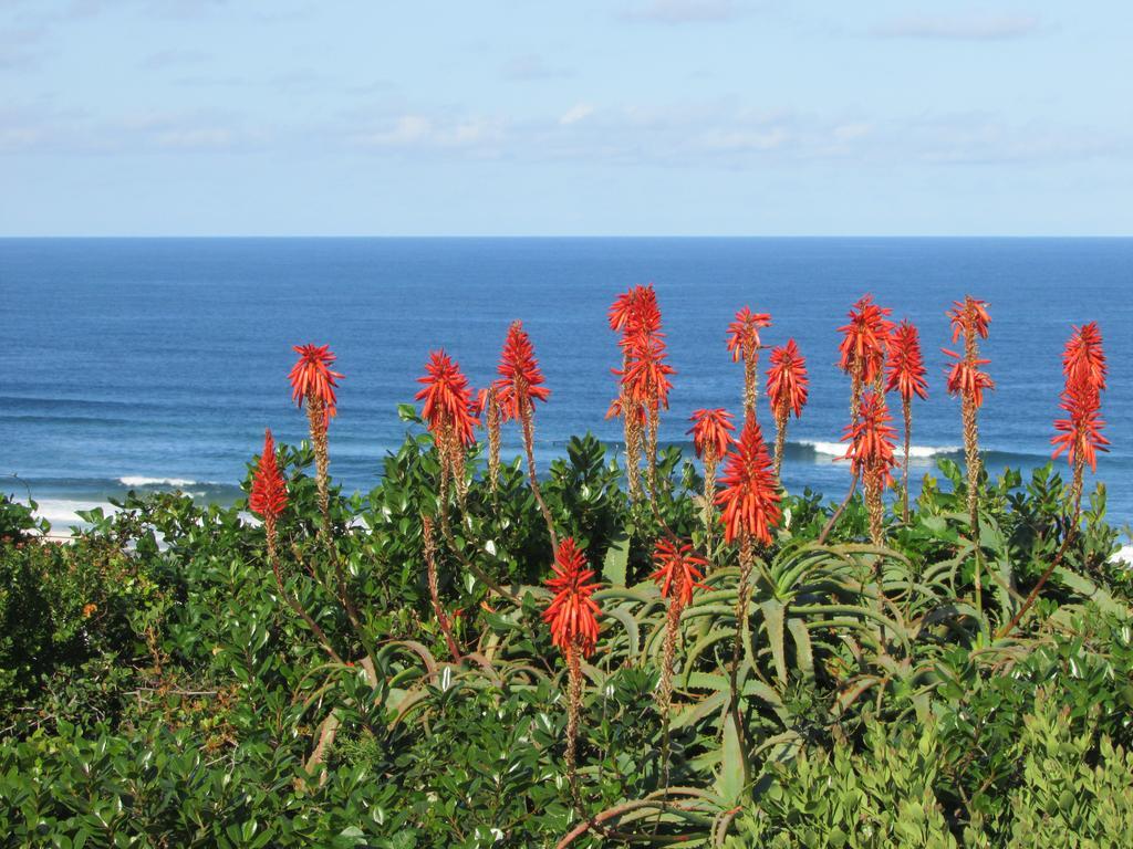 Melkhoutkloof Guest House Outeniqua Strand Dış mekan fotoğraf